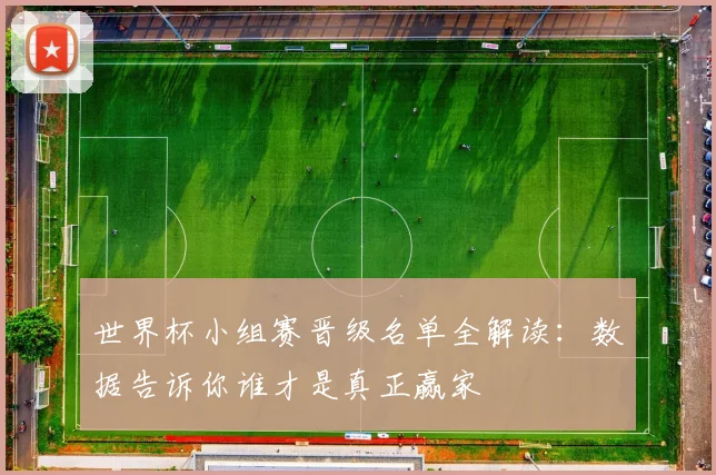 世界杯小组赛晋级名单全解读：数据告诉你谁才是真正赢家